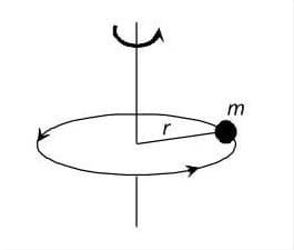 Point Mass